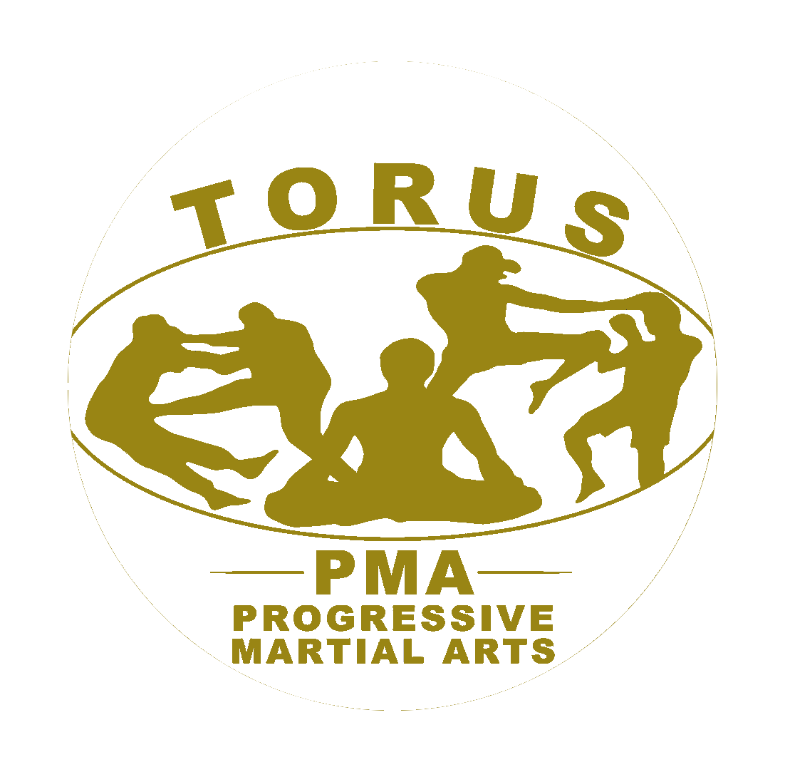 Torus Progressive Martial Arts